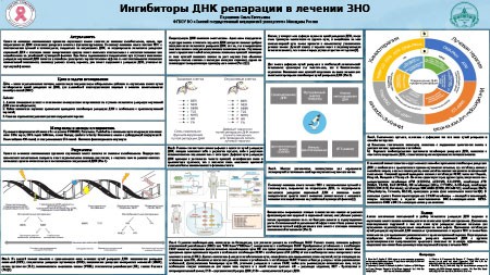 Ингибиторы ДНК репарации в лечении ЗНО